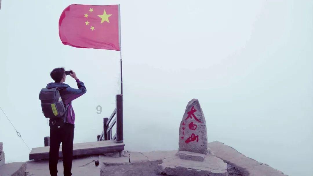 美妙森林找不同